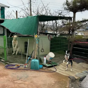 숯골가든 리뷰 사진
