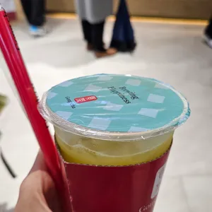 공차 사진