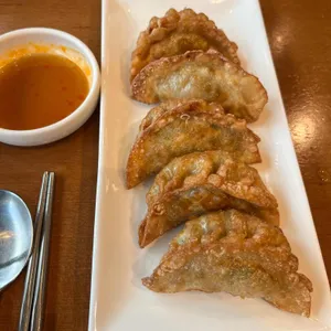 차이나플레인 사진