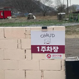 쇼드 리뷰 사진