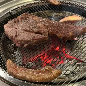 워낭소리 사진