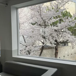 아킨니 리뷰 사진