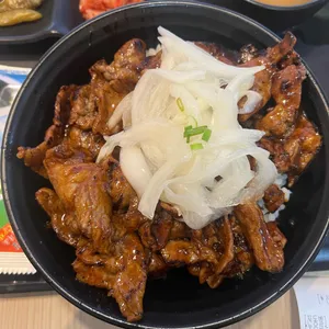 홍대개미 사진