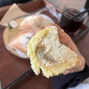 모리 사진