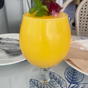 맥문동 리뷰 사진