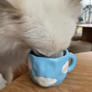 카페 우딬 리뷰 사진