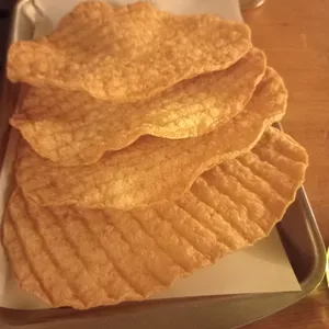 탐스비어 사진