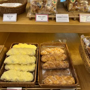 콜렉티보 사진