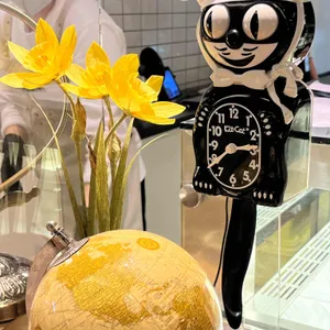 레자미오네뜨 사진