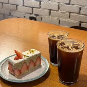 코다 사진