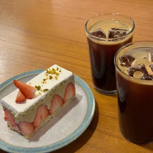 코다 사진