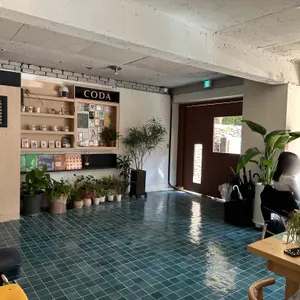코다 리뷰 사진