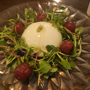 한토리 사진