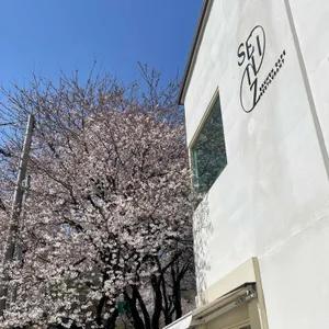 세인즈 가든 리뷰 사진