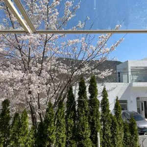 세인즈 가든 리뷰 사진