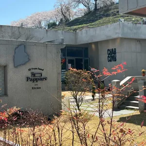 파파레 리뷰 사진
