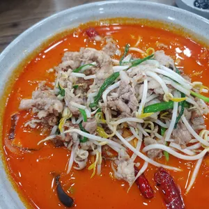 리차이 사진