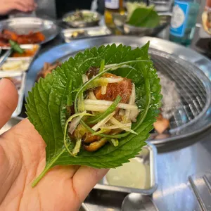 닭두꺼비 사진