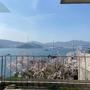 하우요 커피 리뷰 사진