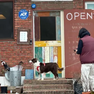 그릇가게 소소리 리뷰 사진