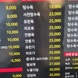 용차이나 리뷰 사진