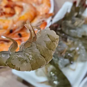 장백왕새우 사진