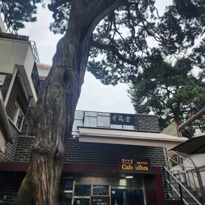 카페 이드라 리뷰 사진