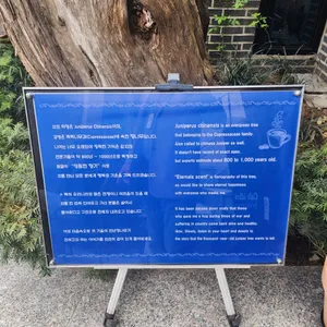 카페 이드라 리뷰 사진