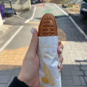 매미성 미스터옥슈슈 사진