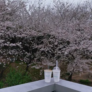 어반플랜트 리뷰 사진