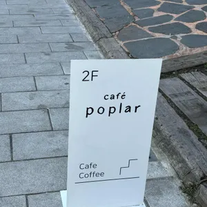 포플러 리뷰 사진