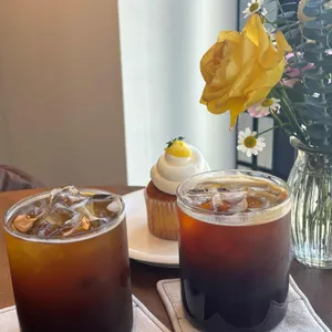 포플러 사진