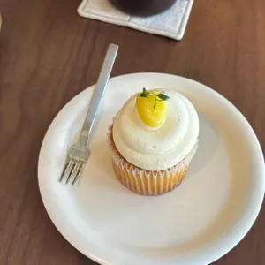 포플러 사진