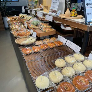 하루팡 사진