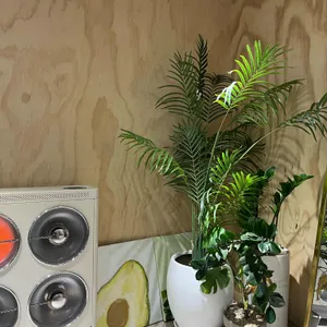 바리 슈퍼푸드 리뷰 사진