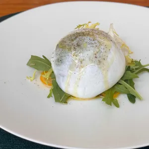 몽도 사진