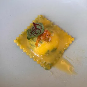 몽도 사진
