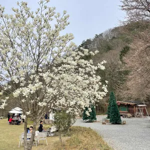 까망감 리뷰 사진