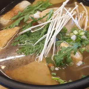국수나무 사진