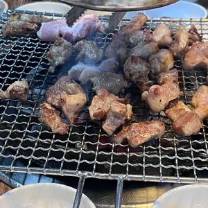 참갈매기&뽈살 사진