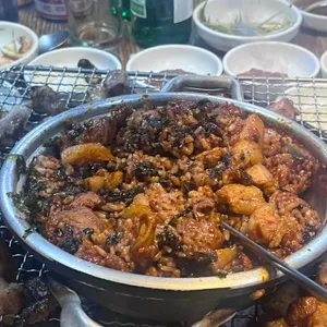 참갈매기&뽈살 사진