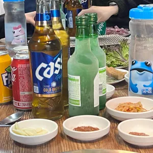 참갈매기&뽈살 사진