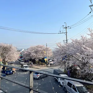 카페파밀리에 사진