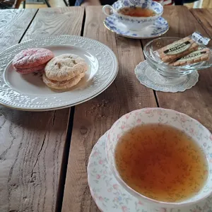 르떼 사진