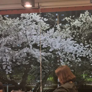 설빙 리뷰 사진