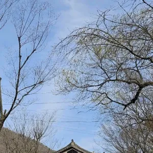 몽쥬이에 리뷰 사진