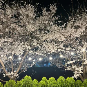 어썸845 리뷰 사진