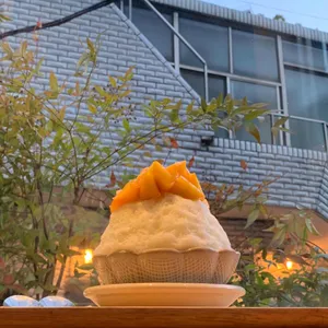 시즌커피앤베이크 리뷰 사진