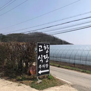 고향식당 리뷰 사진