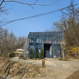 파크 187 리뷰 사진